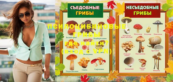 jwh Алзамай