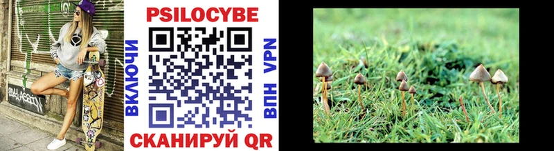 Псилоцибиновые грибы Magic Shrooms  Ноябрьск 